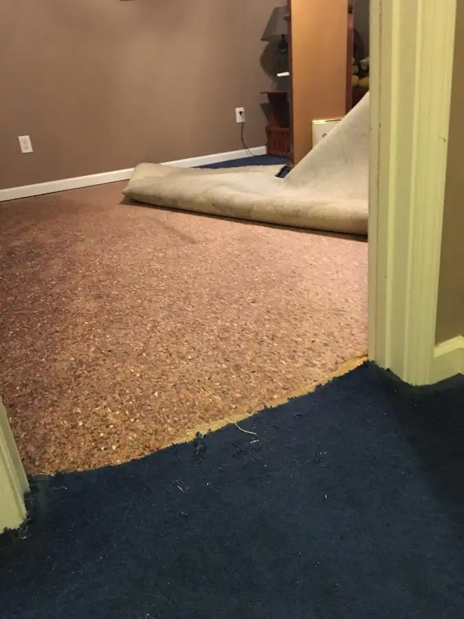 Carpet pad removal revealing water damage during Water Mitigation Services in World Golf Village