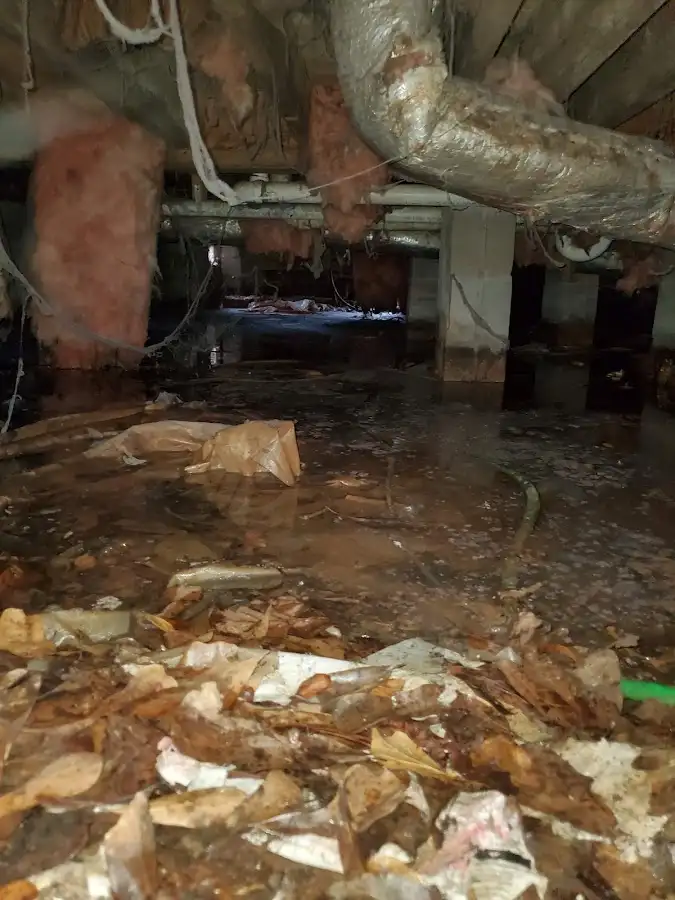 Crawl space flood assessment for Commercial Water Damage Restoration in World Golf Village