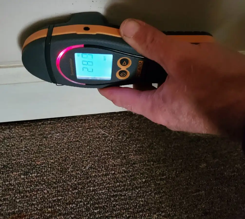 Moisture detection at baseboard during Mold Inspection & Testing in World Golf Village
